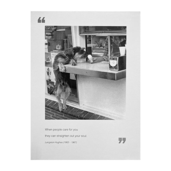 Quote Unquote All Occasions Card by Borealis Press - Picture 6 of 13